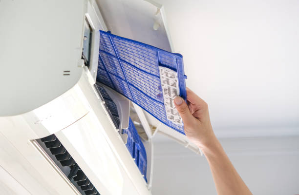 Best Air Quality Test  in Cortland, IL